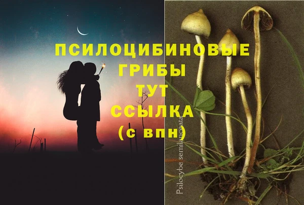 MESCALINE Верхний Тагил