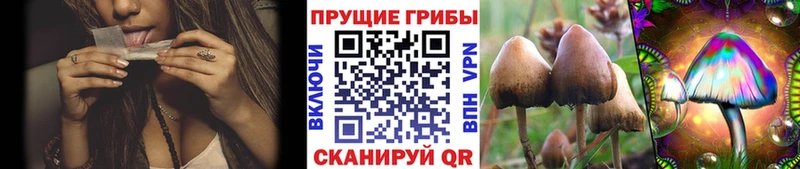 MEGA ТОР  Ростов  Галлюциногенные грибы ЛСД 